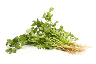 Beyaz arkaplanda maydanoz