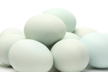 tuzlu ördek yumurta