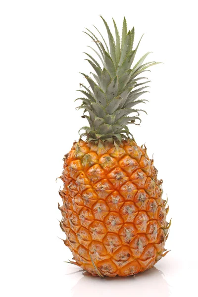 Ananas på vit bakgrund — Stockfoto