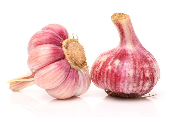 Fresh garlic — Stock Photo, Image