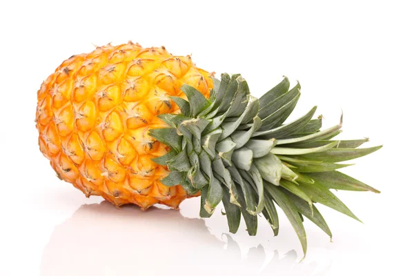 Ananas på vit bakgrund — Stockfoto