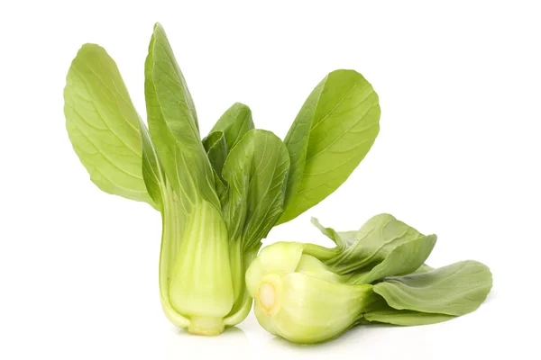 Pok Choi — Stok fotoğraf