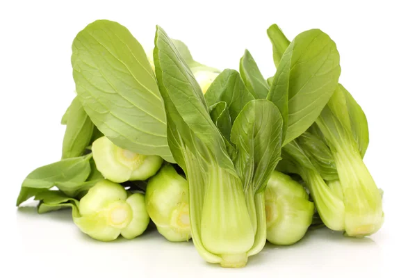 Pok Choi — Stok fotoğraf