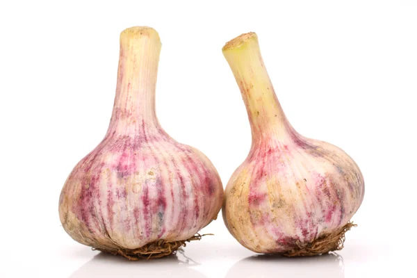 Fresh garlic — Stock Photo, Image