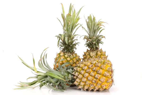 Ananas su sfondo bianco — Foto Stock