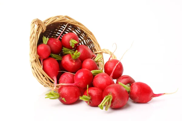 Fresh Radish — Stock Photo, Image