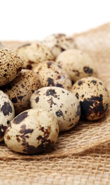 Bıldırcın yumurtası çuval bezi çanta