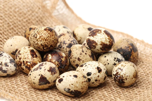 Quail eggs in burlap bag — Stock Photo, Image