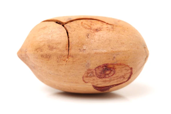 Pecan nut — Stock Photo, Image