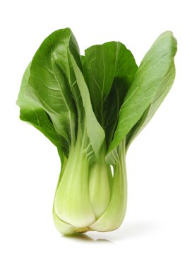 Pok Choi