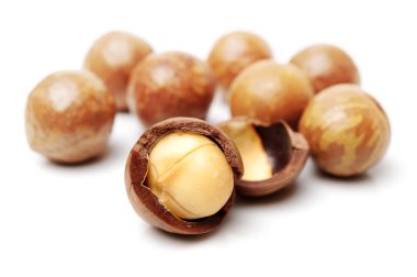 macadamia fıstığı kabuklu ve unshelled