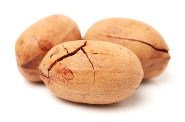 Pecan nuts — Stock Photo, Image