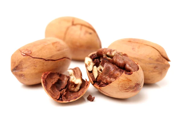 Pecan nuts — Stock Photo, Image