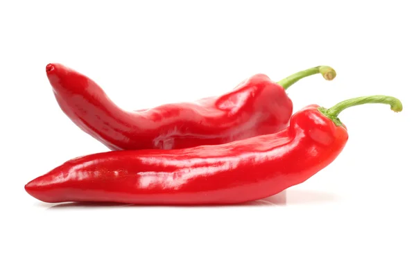 Röd chilipeppar — Stockfoto