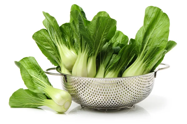 Pok Choi — Stockfoto