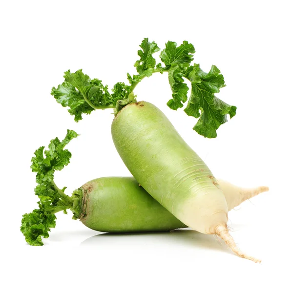 Party loyalty radish — Stock Photo, Image