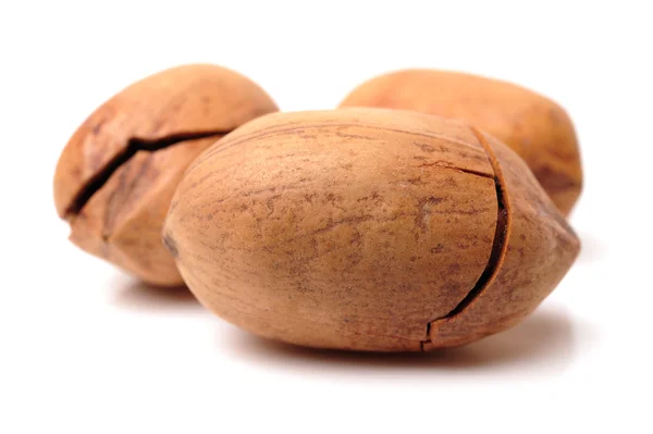 Pecan nuts — Stock Photo, Image