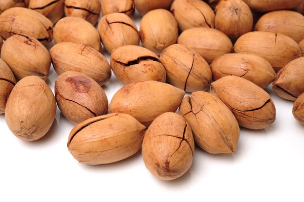 Pecan nuts — Stock Photo, Image