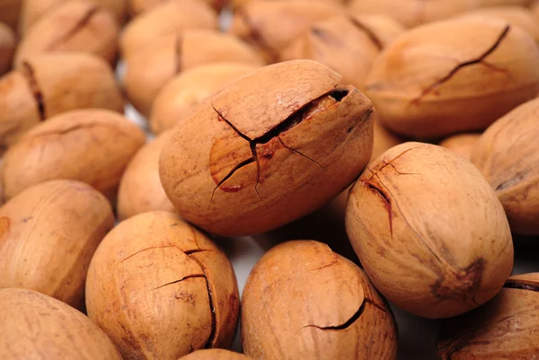 Pecan nuts — Stock Photo, Image