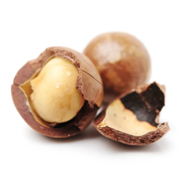 Shelled and unshelled macadamia nuts — Stock Photo, Image