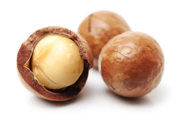 Shelled and unshelled macadamia nuts — Stock Photo, Image