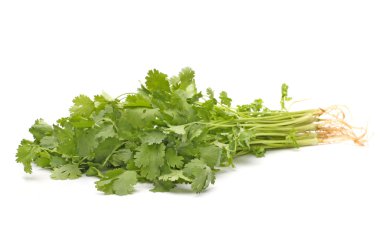 Taze yeşil maydanoz grup