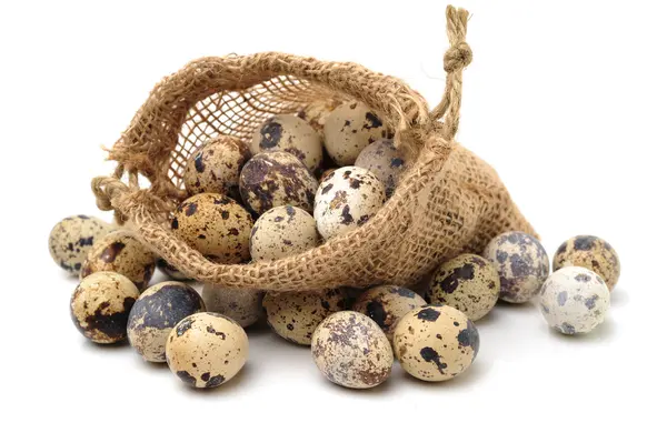 Křepelčí vejce pytlovina pytle — Stock fotografie