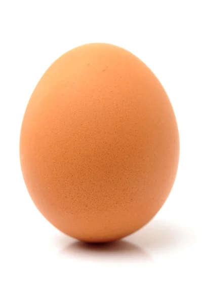 One fresh chicken egg — Stock Photo, Image