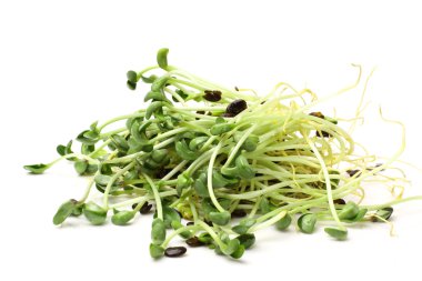 siyah fasulye filizi yığın