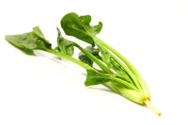 yeşil ıspanak yaprakları