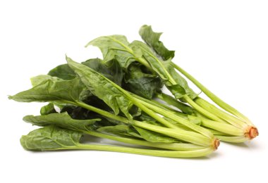 Ispanak üzerinde beyaz bir