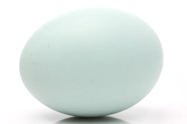 One chicken egg — Stock Photo, Image