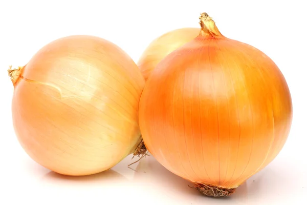 Bolbos de cebola de ouro vegetal — Fotografia de Stock