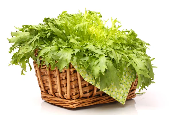 Salad leaves in basket — Stock Photo, Image