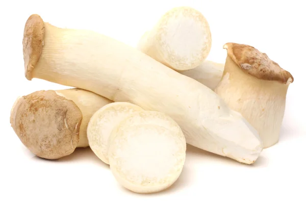 King Oyster Mushrooms — Stock Photo, Image