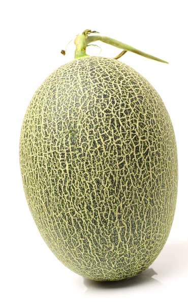 Melone reticolato — Foto Stock