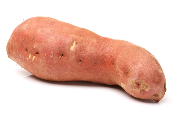 Zoete aardappel — Stockfoto