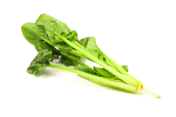 Foglie di spinaci verdi — Foto Stock