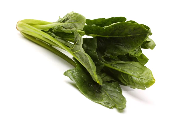 Spinach on a white — Stock Photo, Image