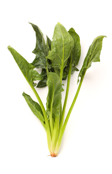 Spinach on a white