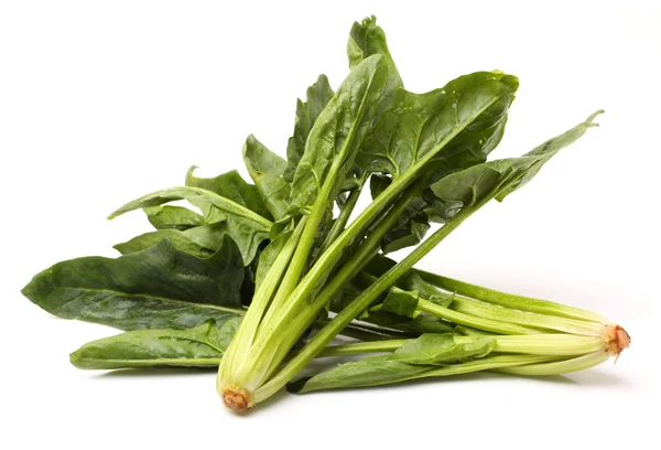 Spinach on a white — Stock Photo, Image