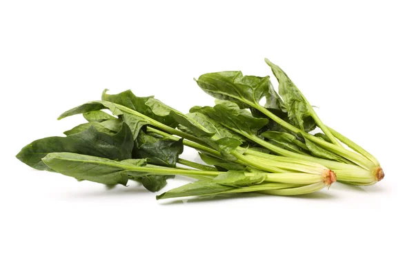 Spinach on a white — Stock Photo, Image