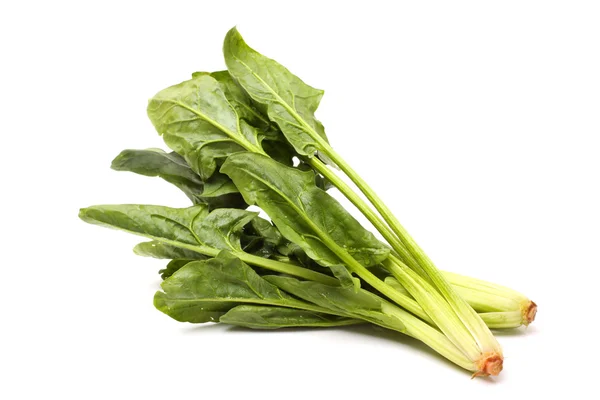 Spinach on a white — Stock Photo, Image