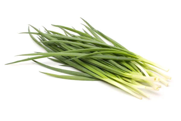 Green Onion — Stock Photo, Image