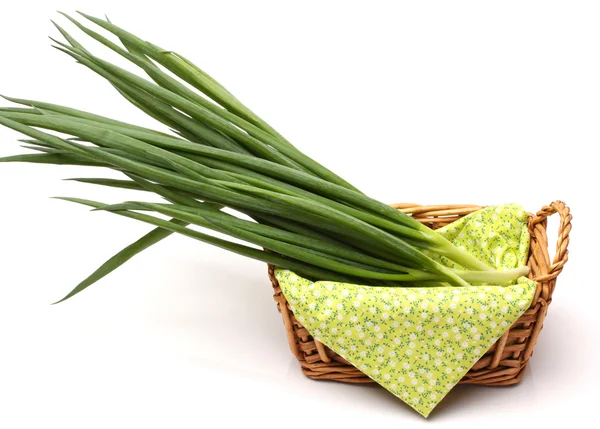 Green Onion — Stock Photo, Image