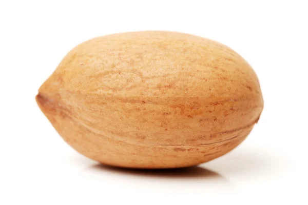 Pecan nut close up — Stock Photo, Image