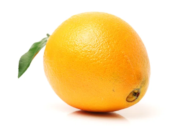 新鲜多汁橙 — 图库照片