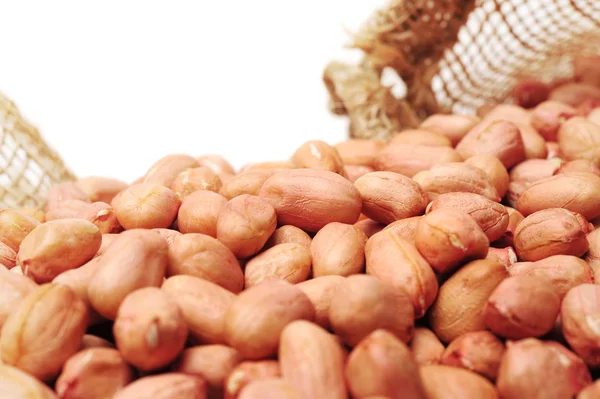 Fresh peanuts — Stock Photo, Image