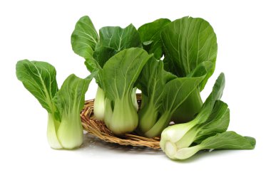 Pok Choi