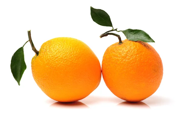 Verse sappige sinaasappelen met bladeren — Stockfoto